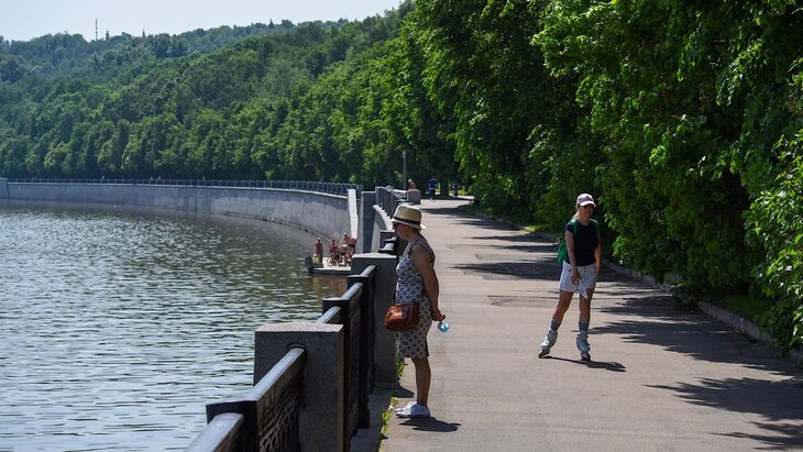 � ������ ����� ������������ ����������� ���� ����� �� 2�3 �������