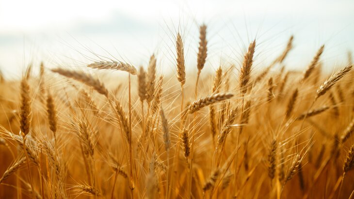 ������ ������ ���������� ������� ��� ��������