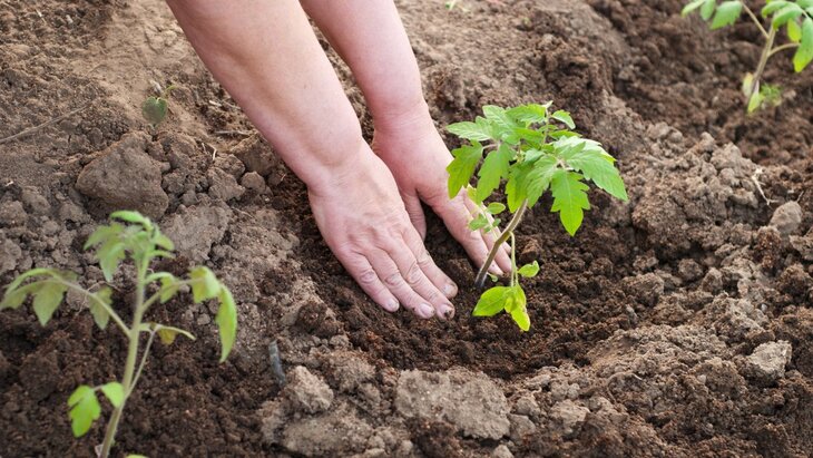 �������� ������� ������ ��� ��� ������� ������� ������ � ����-�������