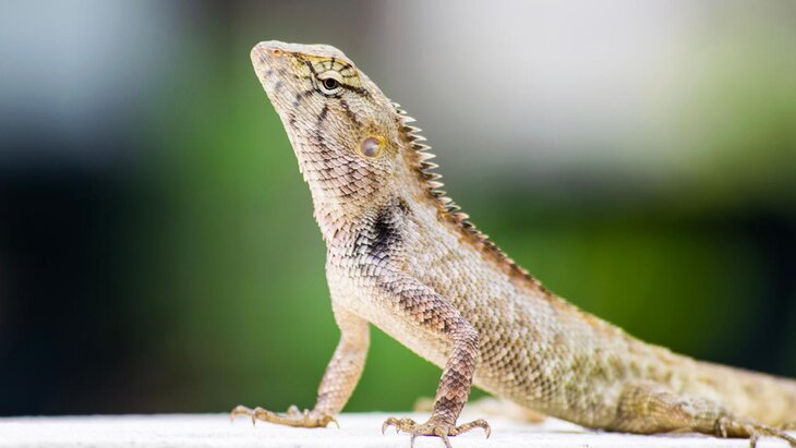 ��������� ������� ������� ����� ��� ������ � ������ ���������� �����