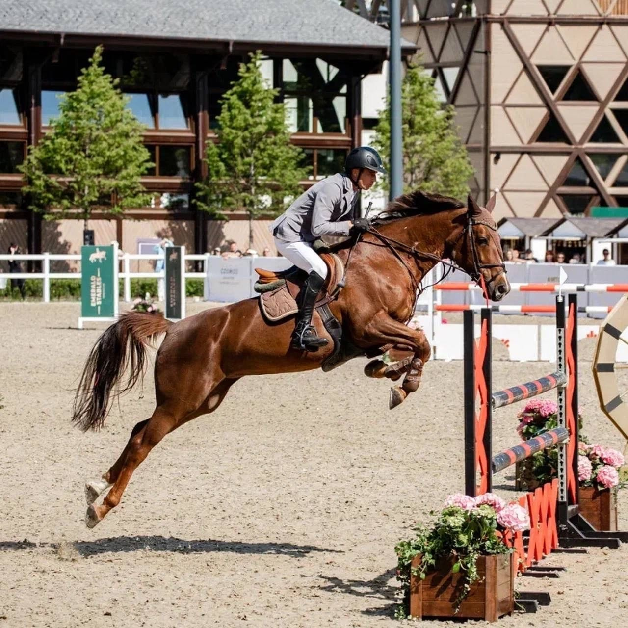 ��������� ������ ��� ������: BN Group ���������� �� ������������� ������ �� �������