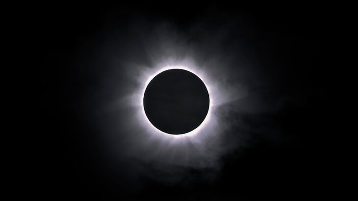 �������� ������������ ��������� ������ ���� ���������� �������� 29 �����