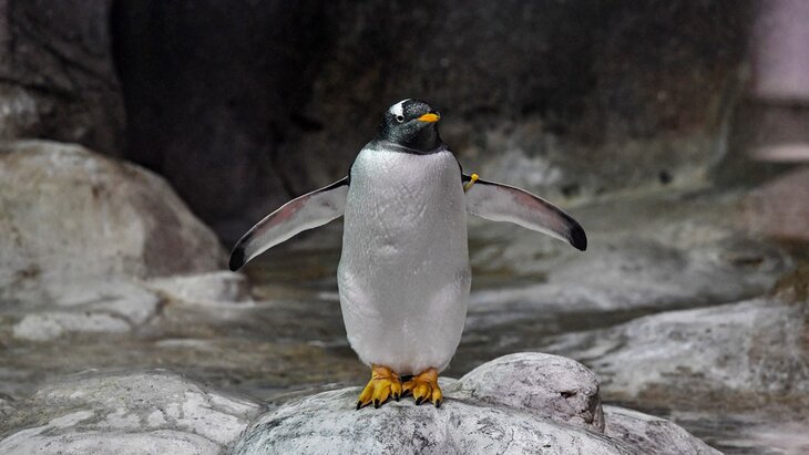 �������� ����� �������� �� 10 ����� ��� � ����� �� ��������� ������