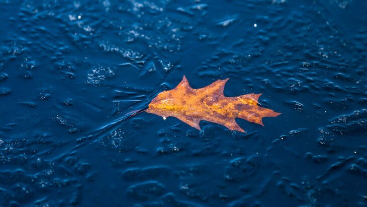 ��������� ������ ����� ������ ��������� ��������� � �����������