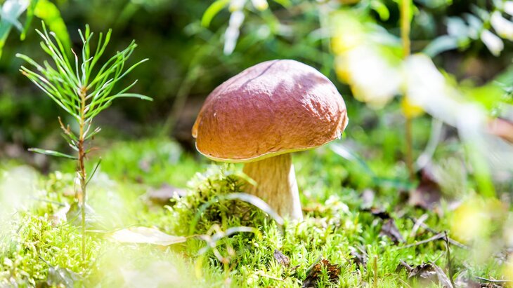 ������ ������� � ������ ����� ����� ������ ������ � ��������� �������