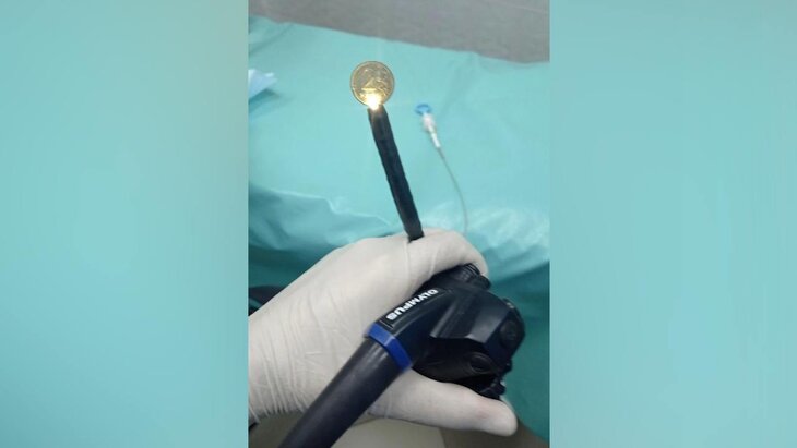 ������������ ����� ������ 7-������ �������, ������������ ������������ ������