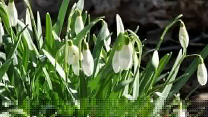 ���������� ������� ��������� ���������� �� ������� ������������� ���������