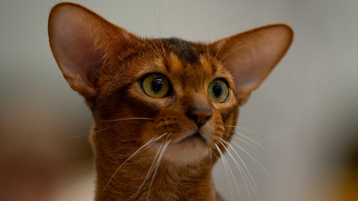 ��� �� ������ ��������� ������� ��������� ��������� ����� � 2025 ����