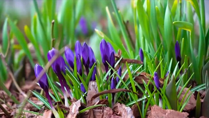 ����� 6 ��� ������ �������� ������ � ��������� ��������