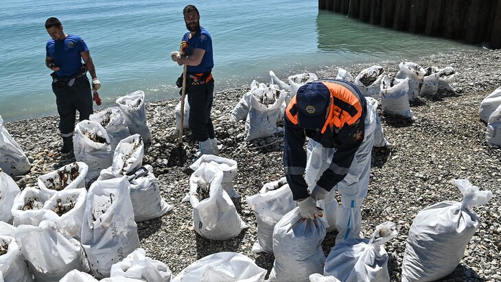 ����� 4 ��� ���������� ������������� ������ � ������������ ����� ������� � ������