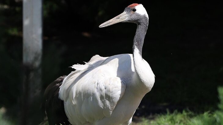 �������� ������� �� ����������� �������� ����� ������� ����� ���������