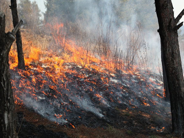 ����������� 1-�� ����� ���������� �� ��� �� ��� ������ �� �. ������ ������ ��������� �� �������� � ������ �������� ������������ 