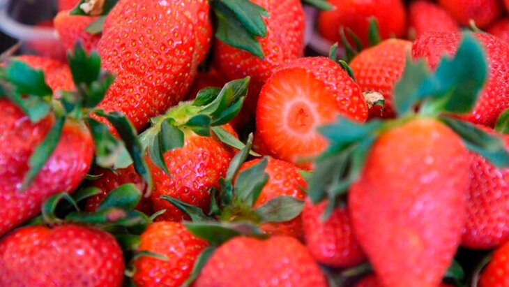 �������� ����������, ������� �������� ����� ������ �� ����