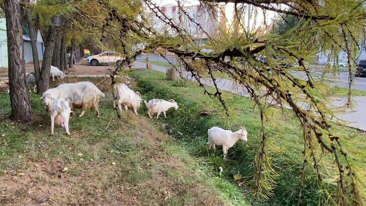 � ������� � ������ ������ ������������ � ������ ��� � ���