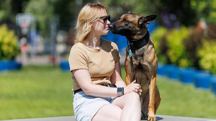 ������ ���� ����������� "����, ���������, ��������" �������� � ������ 17 �������