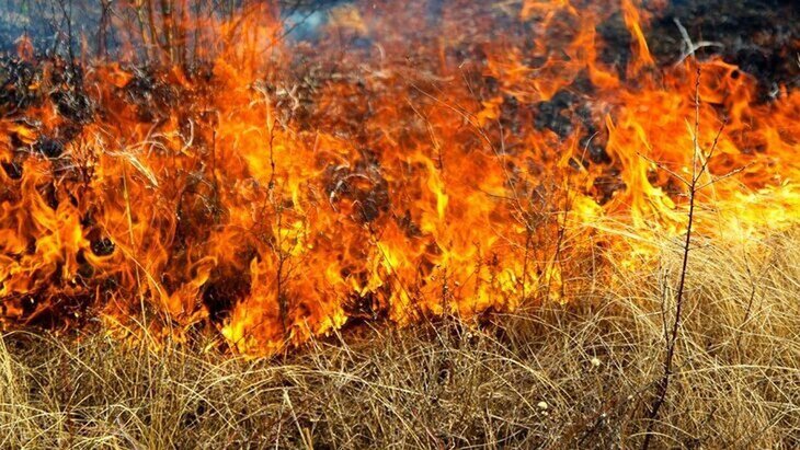 ������ ������� ��������� ��-�� ������� ������� � ������