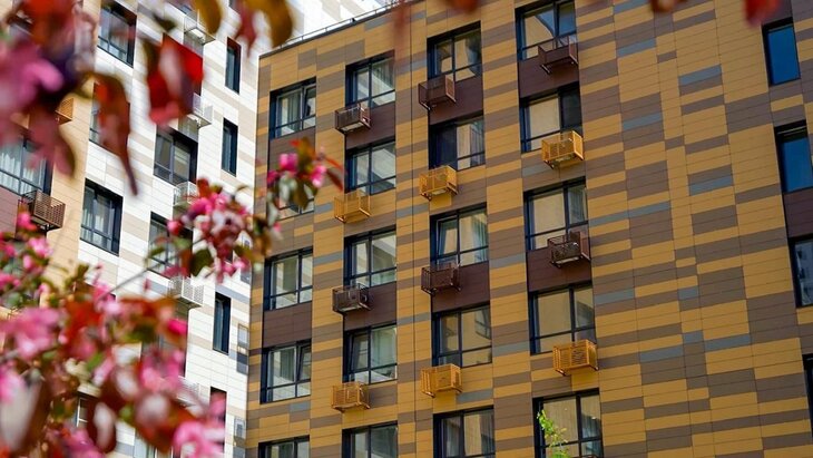 �������: � �������� � ���������� �������� ����� ��� ��������� ���������