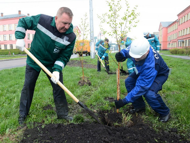 �������: ������ ������������ �������� �������� ���������� �������� �����