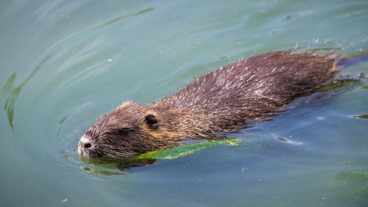 ����� ���� ����� ������� �������� ����� �������� ��� ���� ��-�� �����