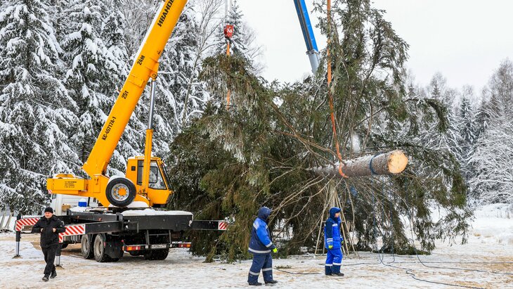 ������� ���������� ��� ������ �������� � ������ 10 �������