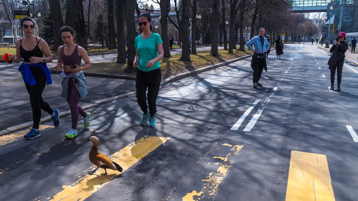 ���� ����������� �������� ������� � ������� �� ����� ����