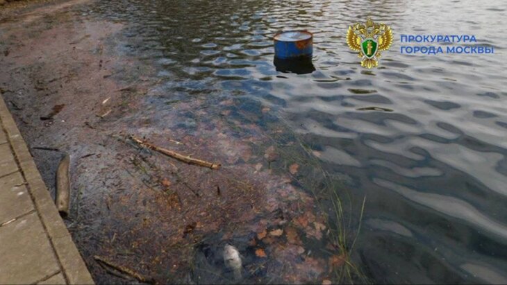 ������������ �������� ������ ��-�� ����������� ���� ���������� � ������