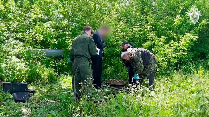 ���� ��������� 12-������ ������� ���������� � ������� � ����������� �������