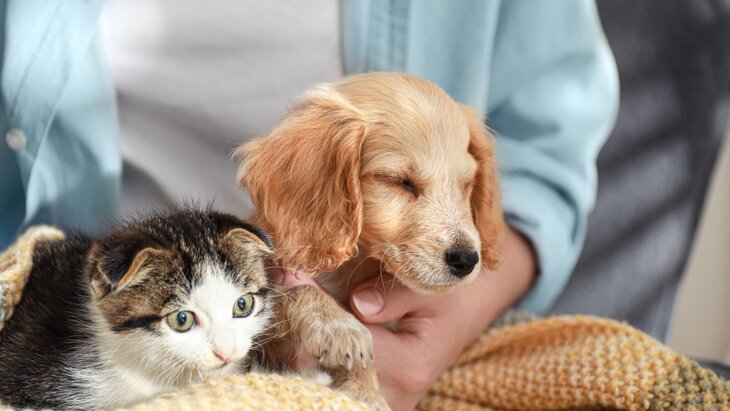 �� ������� �� ������������ �������� ��������� ������ � ����� ��������� � ���������