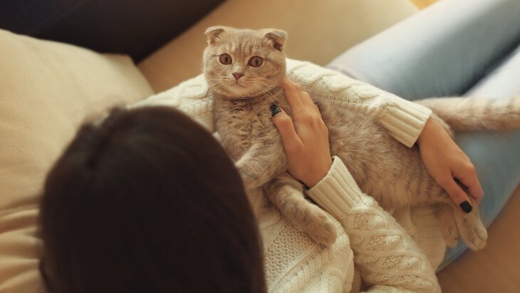 ����� ����������, ��� ������������ ������ ��������� ��������� ����� �������