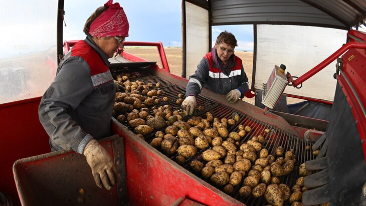 � ����������� �� �������, ��� ������� �������� "���������" ��� �� ���������