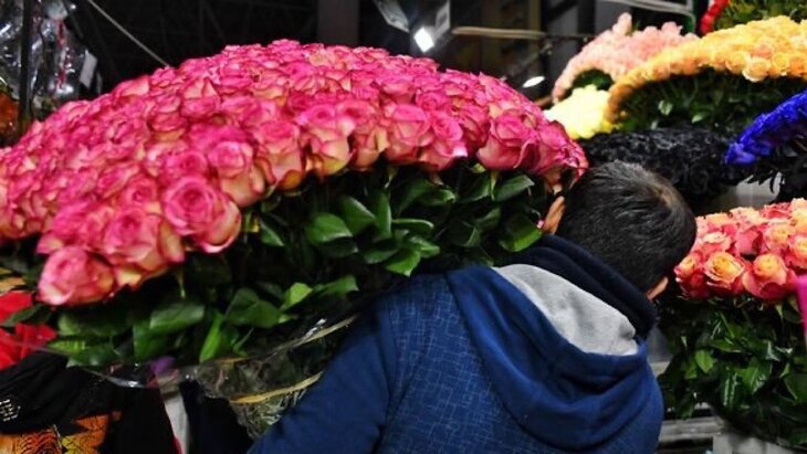 ��������� ������������ � ������� �������� � ��������� ������ � ��������� 7 �����