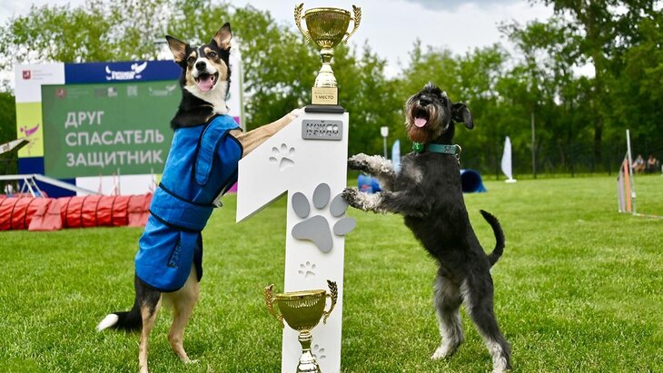 ����� 70 ����� � �� ������ ������� ������� � ���������� �� �������� � ������