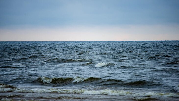 � ������ �������� � ����������� ���������� ������ �� �������