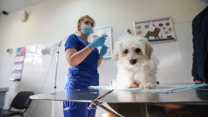 ��������� ���������� ������������� �������� � ����� ����� ����� ������