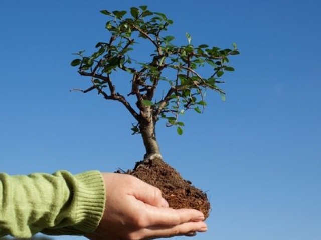 "�������� ��������" �������� "��� �����" ��������� � ������������