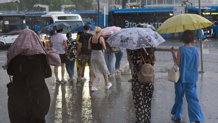 ����� �������� �������� ����� ������� ������ � ������ �� �����