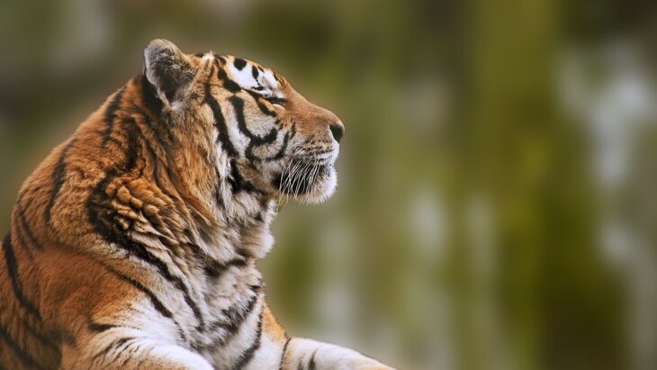 ��������� ������� ���� ��������� ���� ����� ��� �������� �� ����