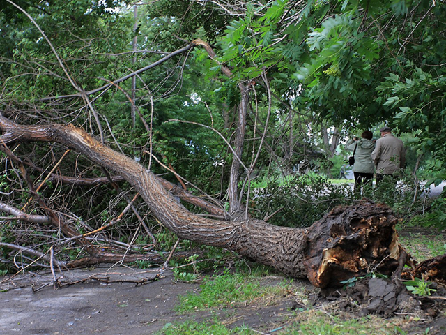 ������� ������ ������� � ��������� � ��������� ���������� �� 3-� �������� 