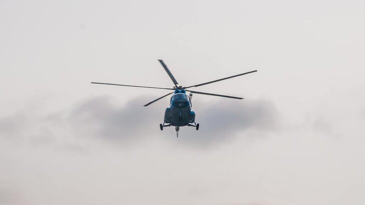 ��������� ������ �������� ���������� ������ �� 20 ������ �� �� � ����������