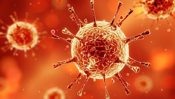 �������� ������ ���������������� ����������� � ��������� ������ ������ � ��