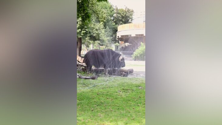 ���������� ������� ������, ��� �������� ��������� ��������� ����