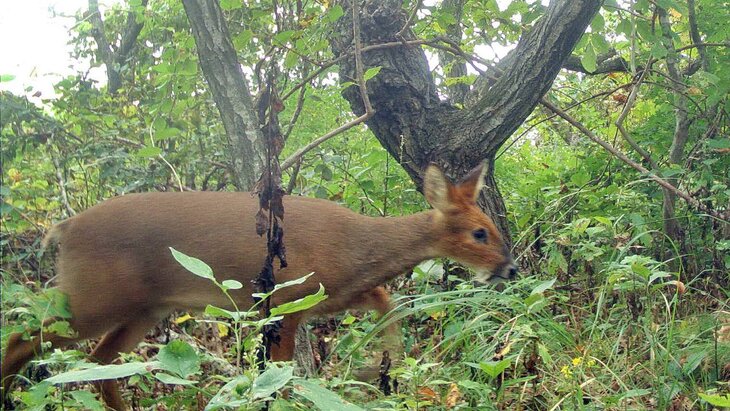 ������ ������� ����� ��������� �� ����� ����� ������� ������