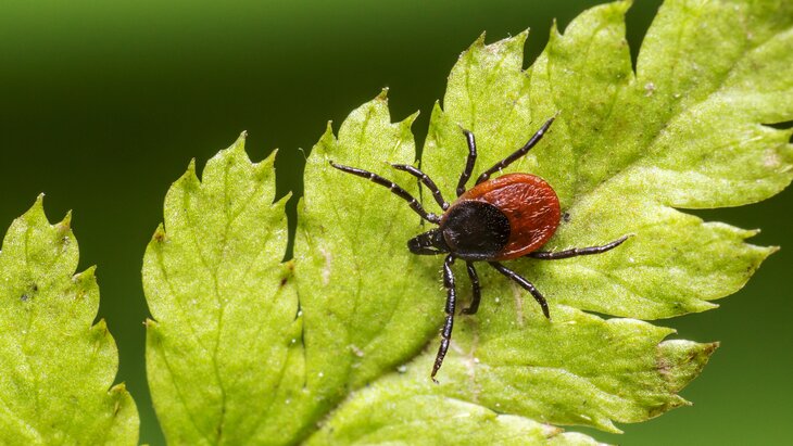 � ��� �� �������� ����� �� ���������� �������� �� ��������� ������ � ��������