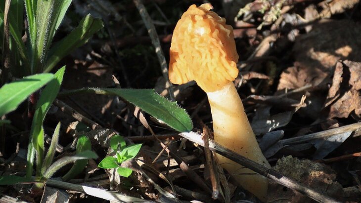 ������� ��������� ������� ������� ������� � �������