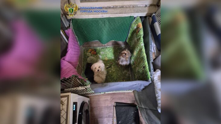 ����������� ������� �������� � �������������� ��������� � 13 �������� � ����