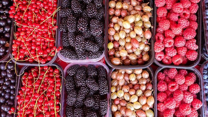 �������, ���������, ��������� � ��������� ��������� �� ���������� ��������