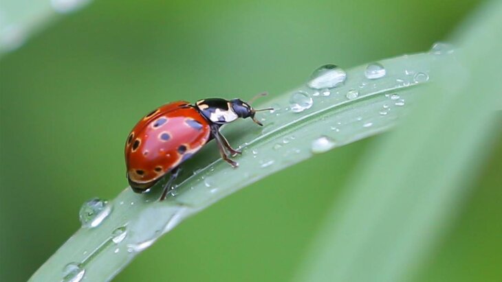 ������� � ����� ������� ���������� � �������