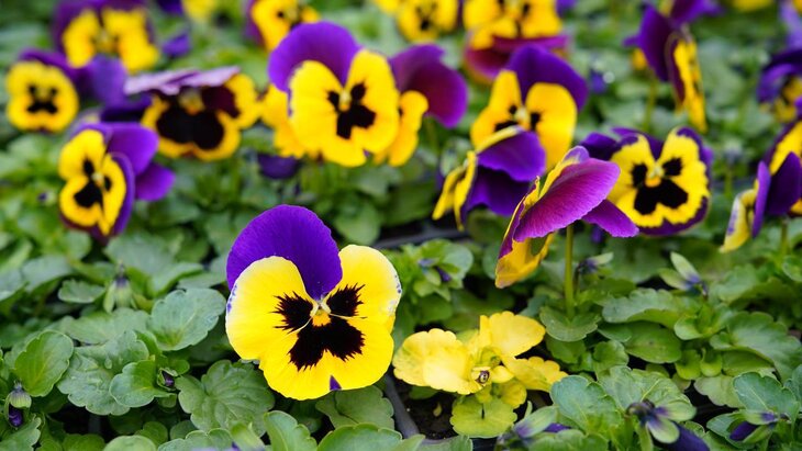 ����� 32 ��� ������������ �������� ��������� ������