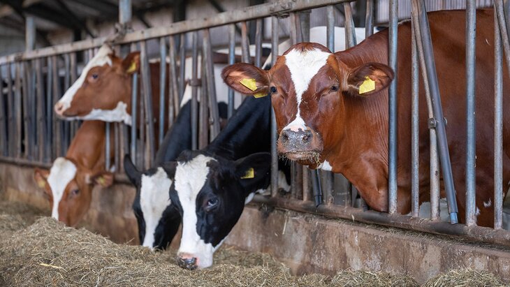 � ������������� ������� ������� ����������� ����� ��������� ��������� � ������� 2 ����