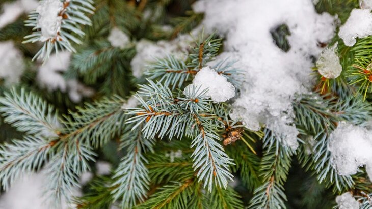 �������������� ������� ������ ������������ � ������ 26 �������